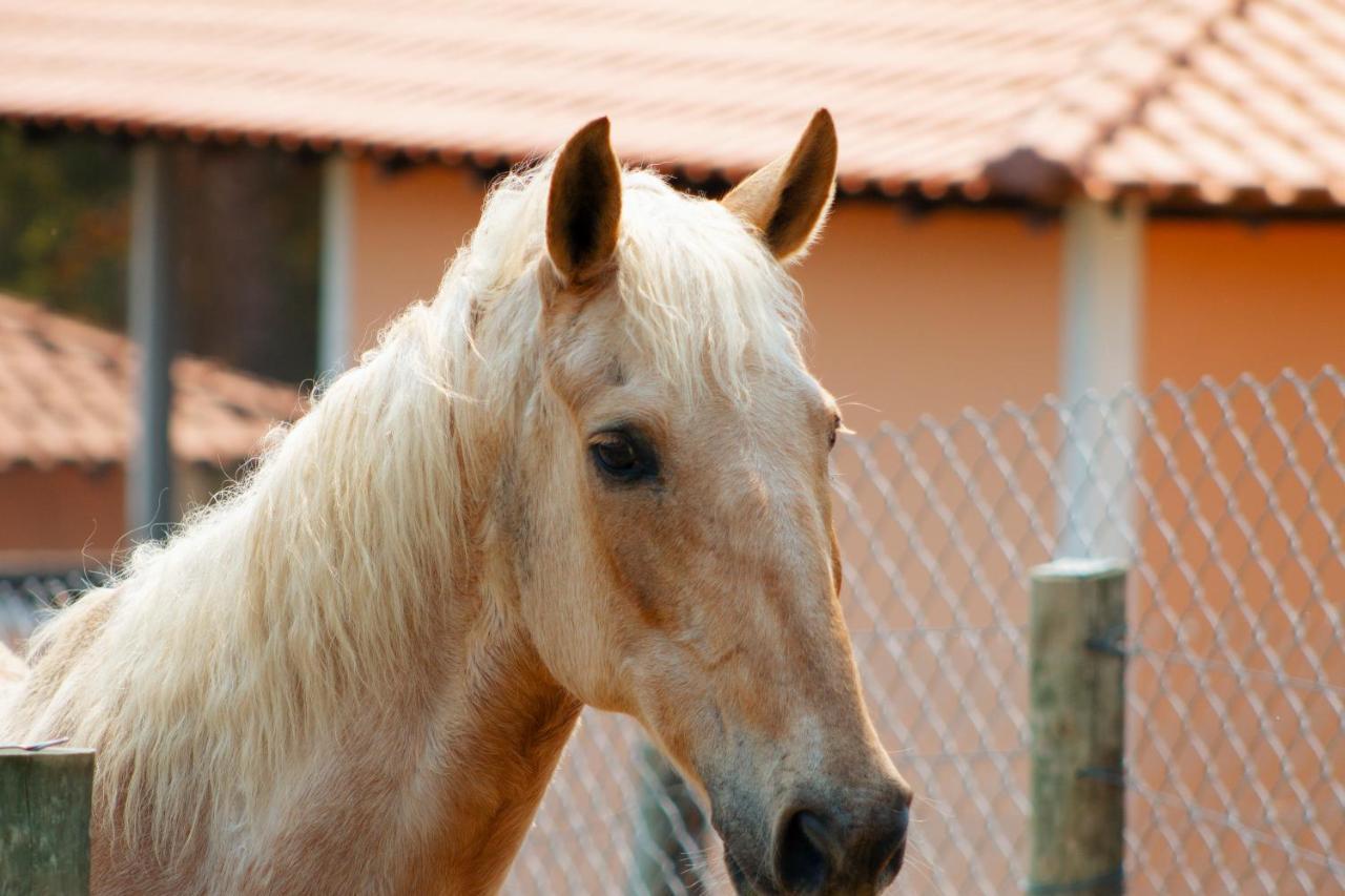 Hotel Fazenda Ararita Pôrto Feliz Kültér fotó