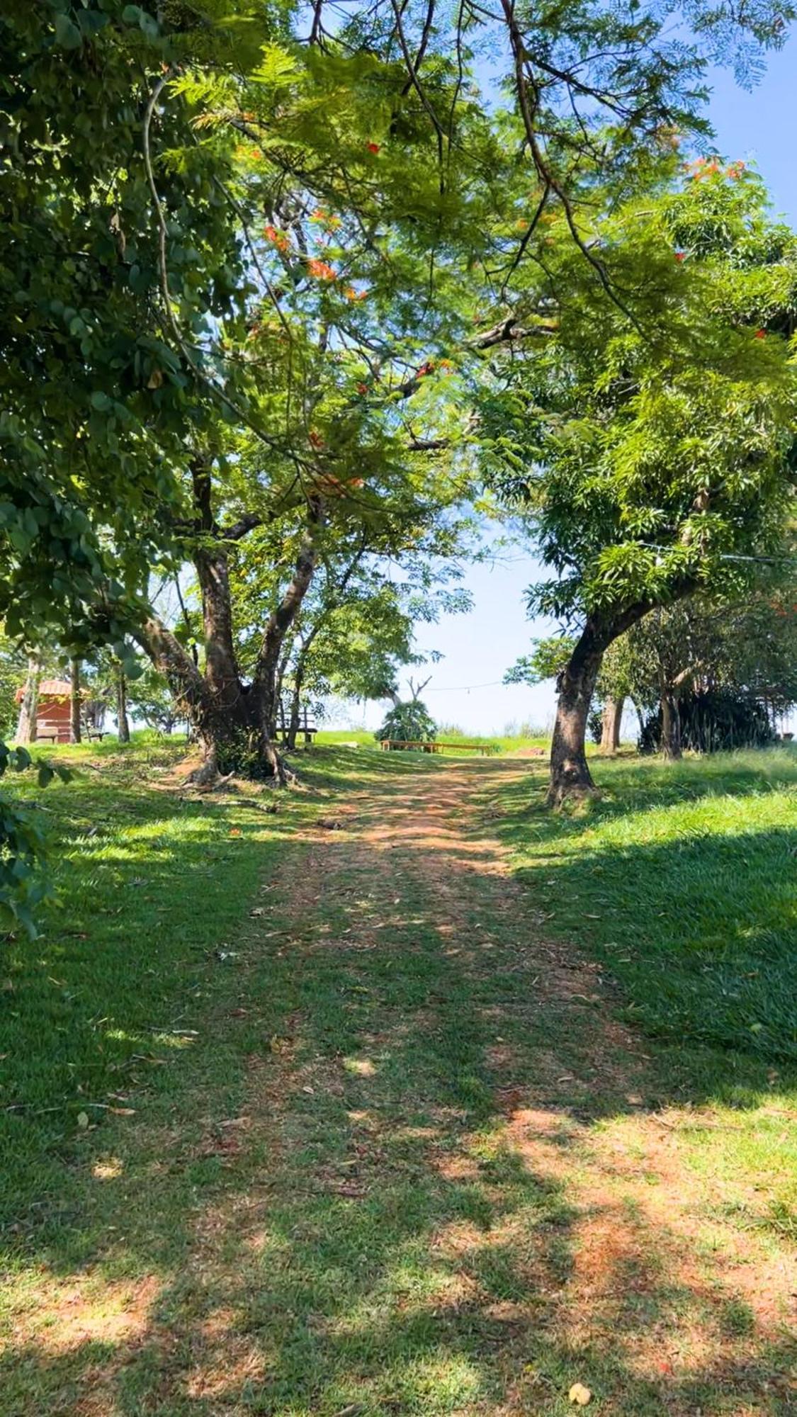Hotel Fazenda Ararita Pôrto Feliz Kültér fotó