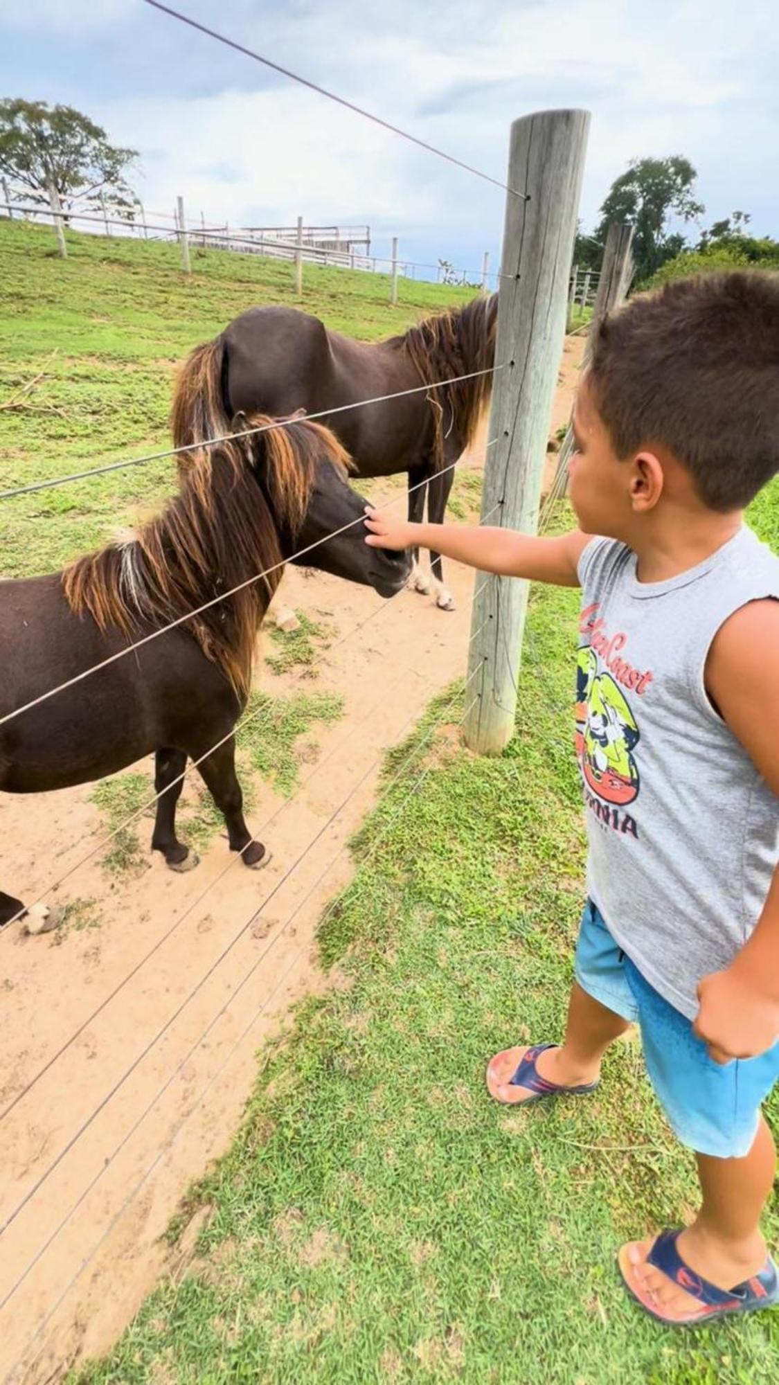 Hotel Fazenda Ararita Pôrto Feliz Kültér fotó